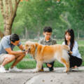 The True Cost of Pet Ownership in Singapore